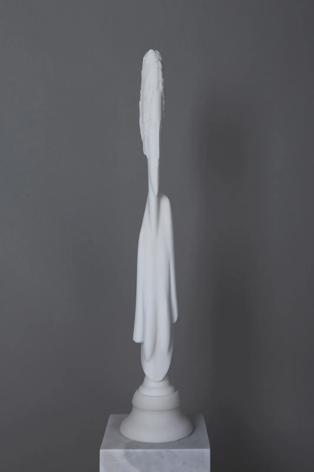 Venus Anamorphose — Leo Caillard