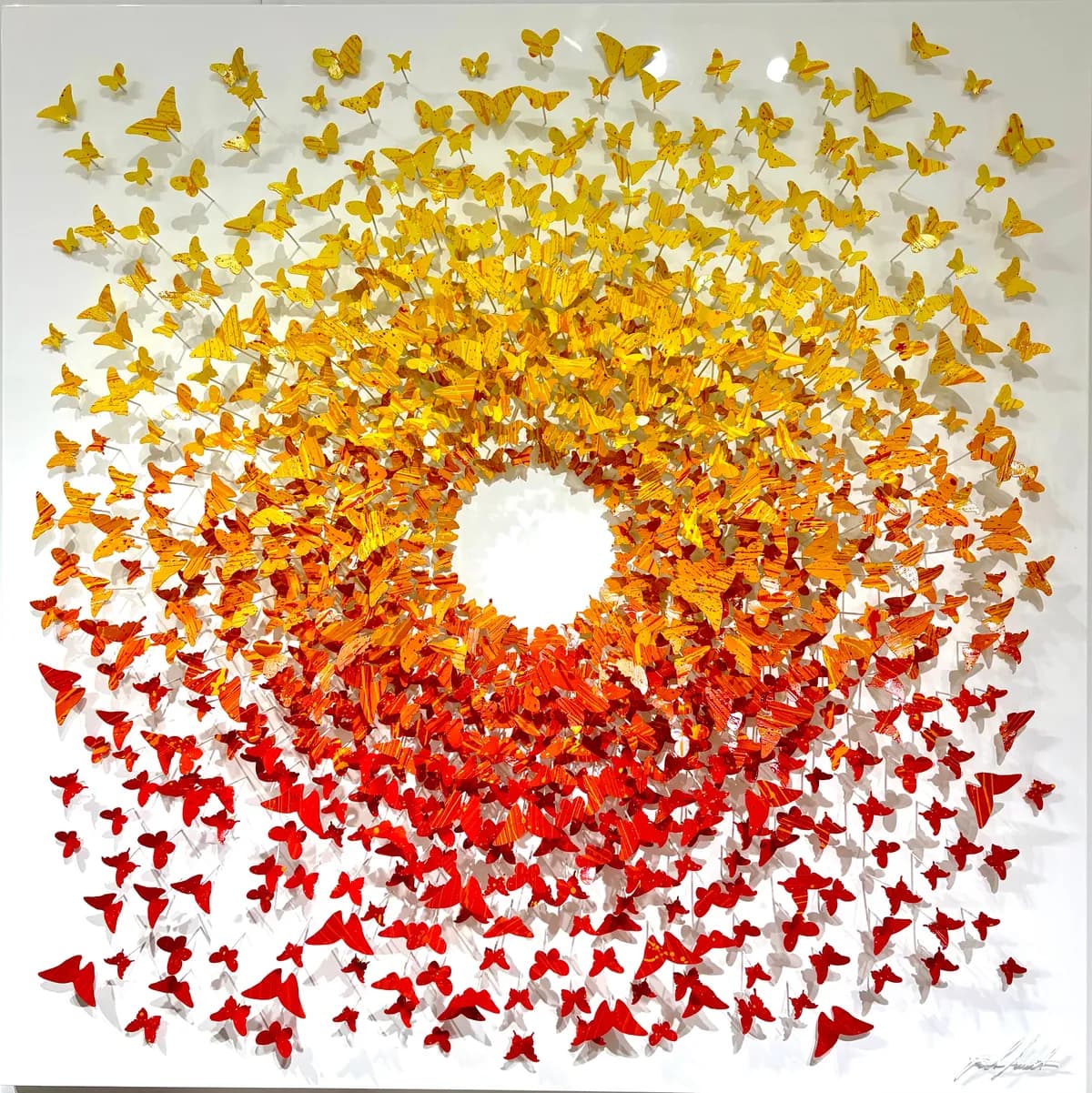 Sun Butterfly Orange — Joel Amit